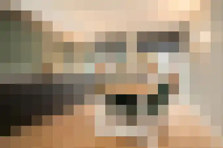 Bosmuizenlaar 21 Bavel thumbnail 17