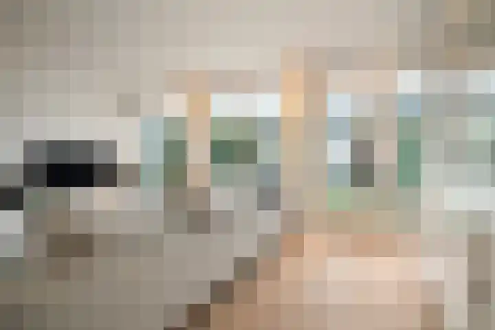Bosmuizenlaar 21 Bavel thumbnail 18