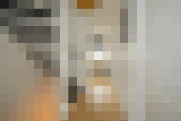 Bosmuizenlaar 21 Bavel thumbnail 25