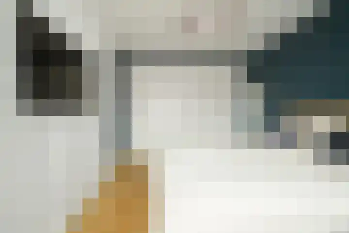 Bosmuizenlaar 21 Bavel thumbnail 26