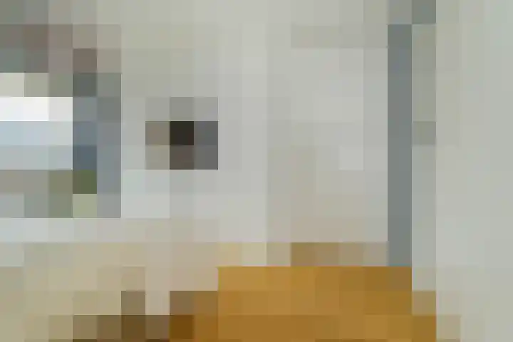 Bosmuizenlaar 21 Bavel thumbnail 28