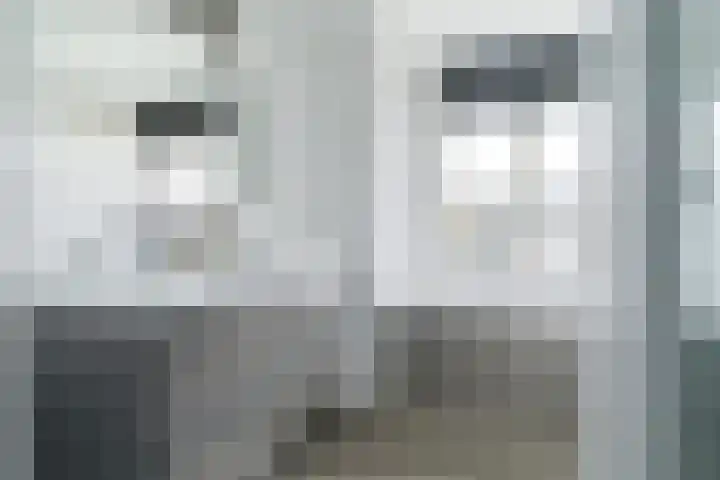 Bosmuizenlaar 21 Bavel thumbnail 29