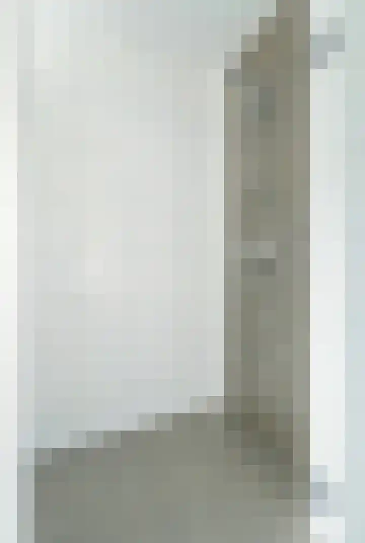 Bosmuizenlaar 21 Bavel thumbnail 32