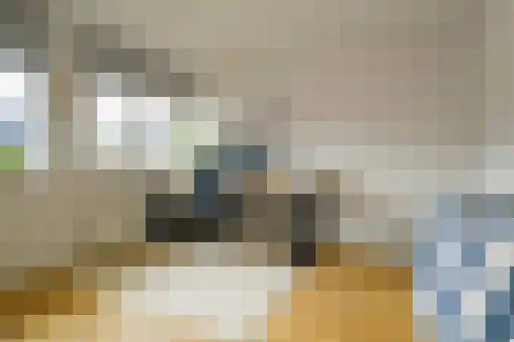 Bosmuizenlaar 21 Bavel thumbnail 35
