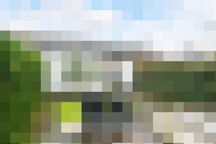 Bosmuizenlaar 21 Bavel thumbnail 45