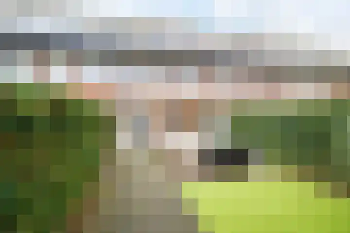 Bosmuizenlaar 21 Bavel thumbnail 47