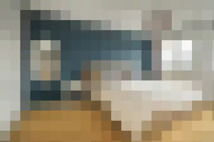 Bosmuizenlaar 21 Bavel thumbnail 7