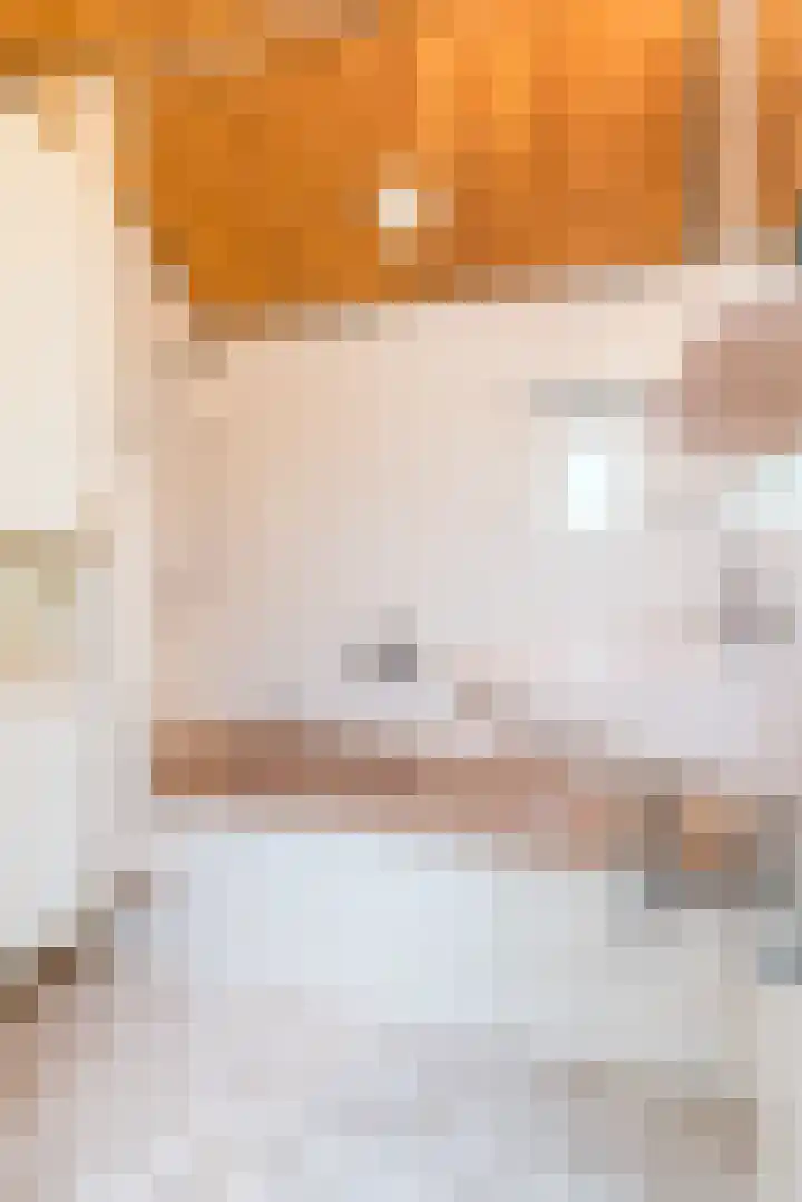 Bospad 28 Heerlen thumbnail 22