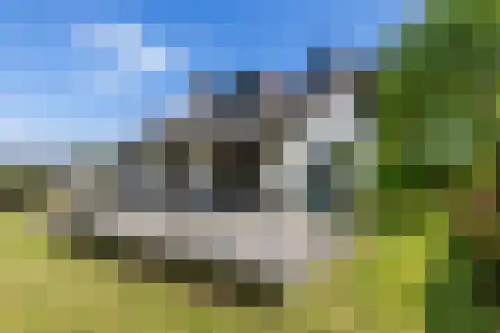 Bospad 28 Heerlen thumbnail 29