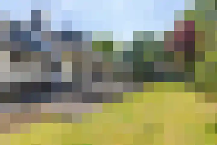 Bospad 28 Heerlen thumbnail 30