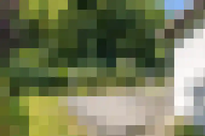 Bospad 28 Heerlen thumbnail 35