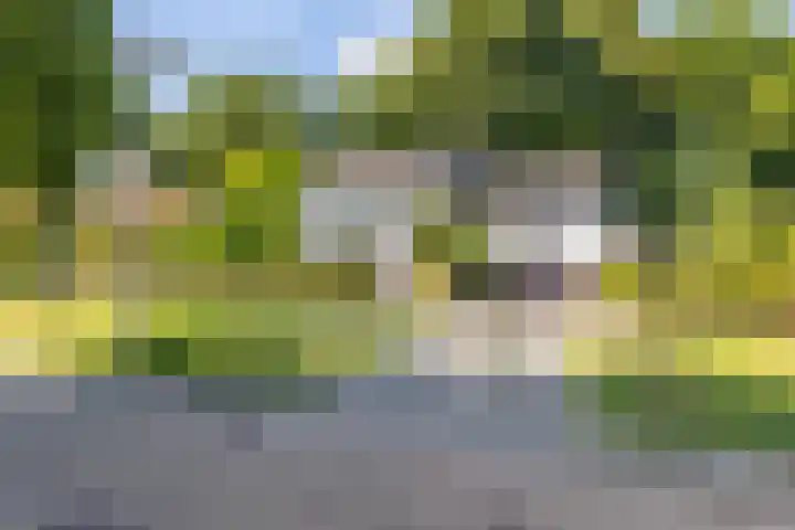 Bospad 28 Heerlen thumbnail 36