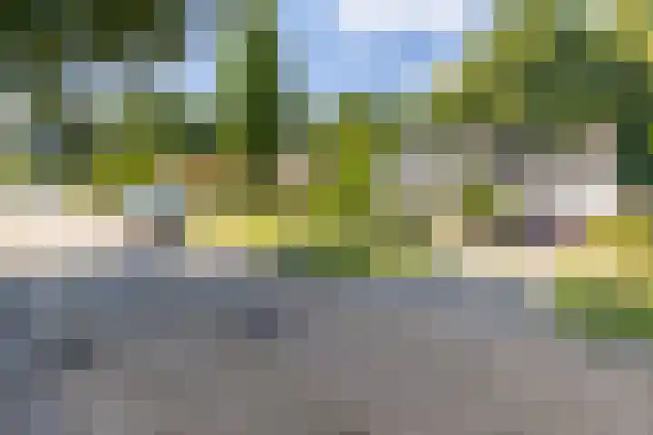 Bospad 28 Heerlen thumbnail 37