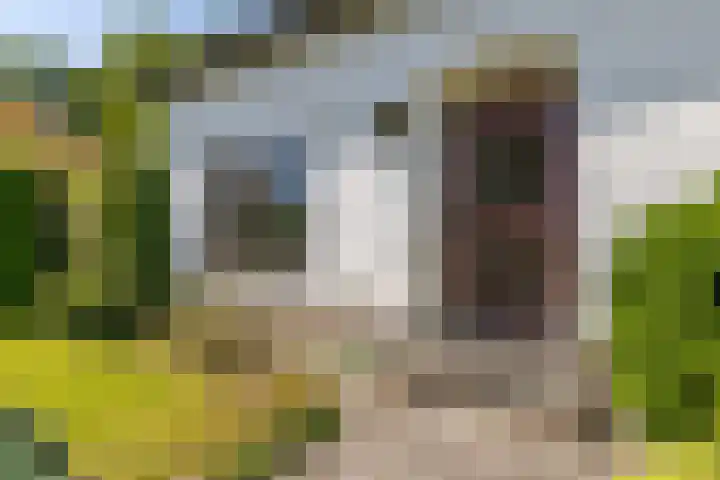 Bospad 28 Heerlen thumbnail 5