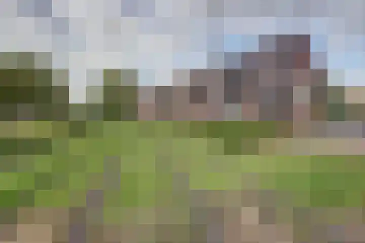 Bospad 75 Schiedam thumbnail 36