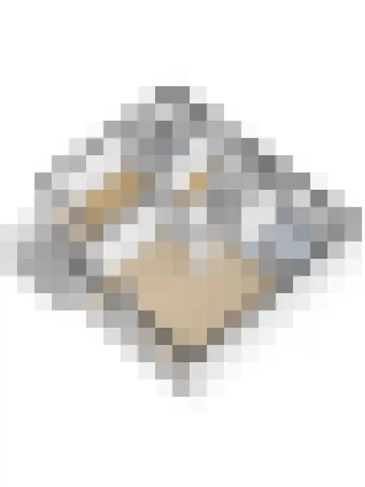 Bospad 75 Schiedam thumbnail 38
