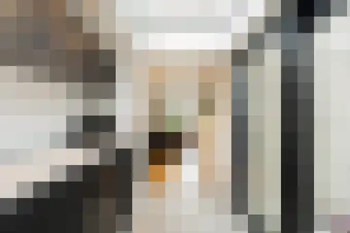 Bosplaat 103 Amsterdam thumbnail 15