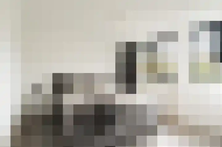 Bosplaat 103 Amsterdam thumbnail 19