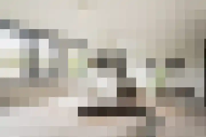 Bosplaat 103 Amsterdam thumbnail 20