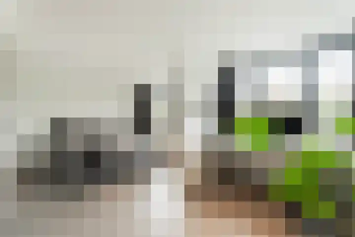Bosplaat 103 Amsterdam thumbnail 22