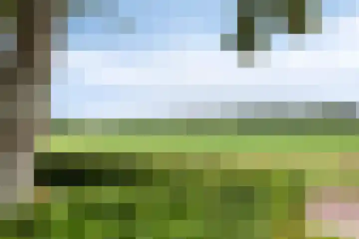 Bosplaat 103 Amsterdam thumbnail 38