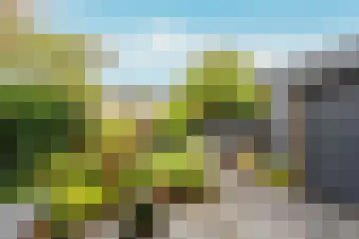 Bosplaat 103 Amsterdam thumbnail 39