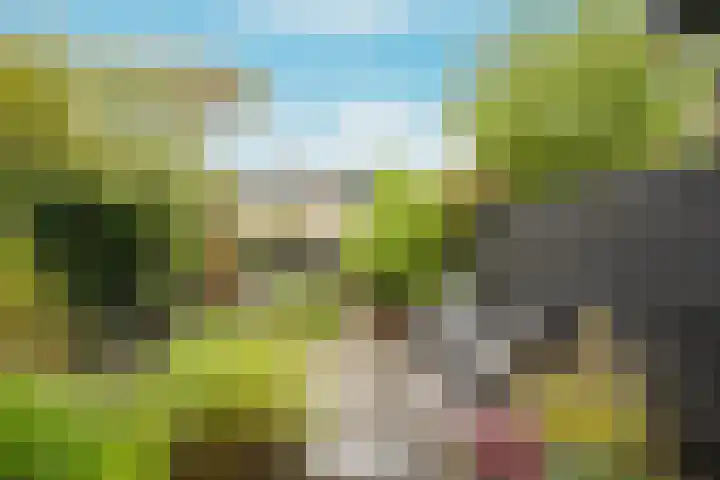 Bosplaat 103 Amsterdam thumbnail 40