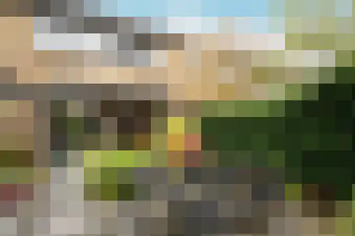 Bosplaat 103 Amsterdam thumbnail 42