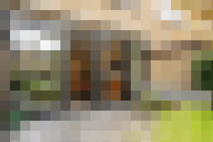 Bosplaat 103 Amsterdam thumbnail 43