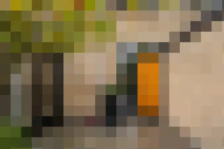 Bosplaat 103 Amsterdam thumbnail 44