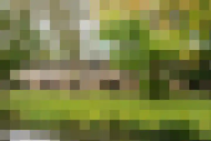 Bosplaat 103 Amsterdam thumbnail 46