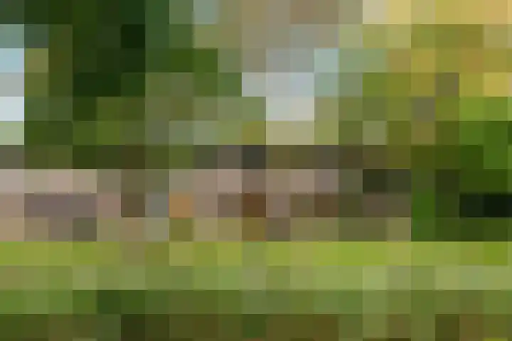 Bosplaat 103 Amsterdam thumbnail 49