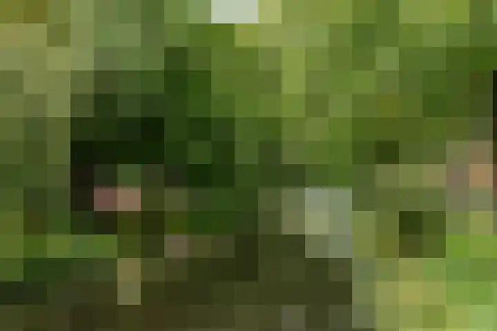 Bosplaat 103 Amsterdam thumbnail 54