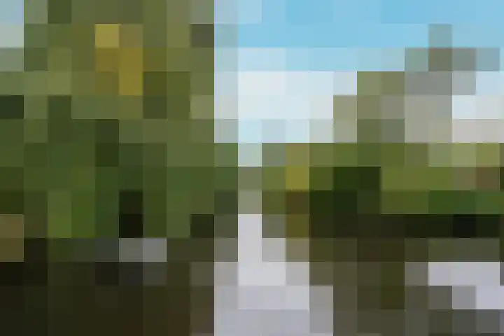 Bosplaat 103 Amsterdam thumbnail 55