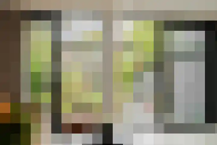 Bosplaat 103 Amsterdam thumbnail 9