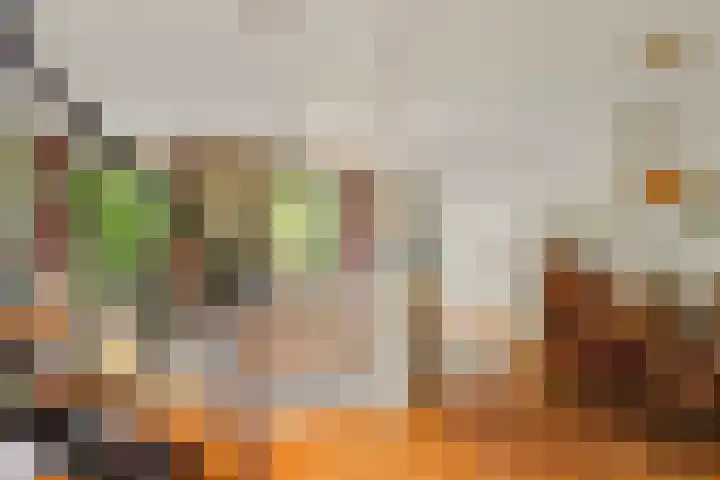 Bosplaat 65 Amsterdam thumbnail 10