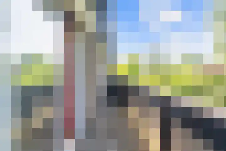Bosplaat 65 Amsterdam thumbnail 26