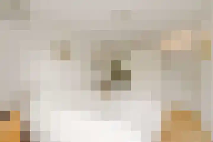 Bosplaat 65 Amsterdam thumbnail 29