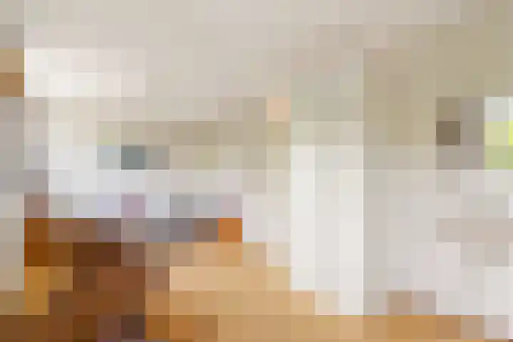 Bosplaat 65 Amsterdam thumbnail 32