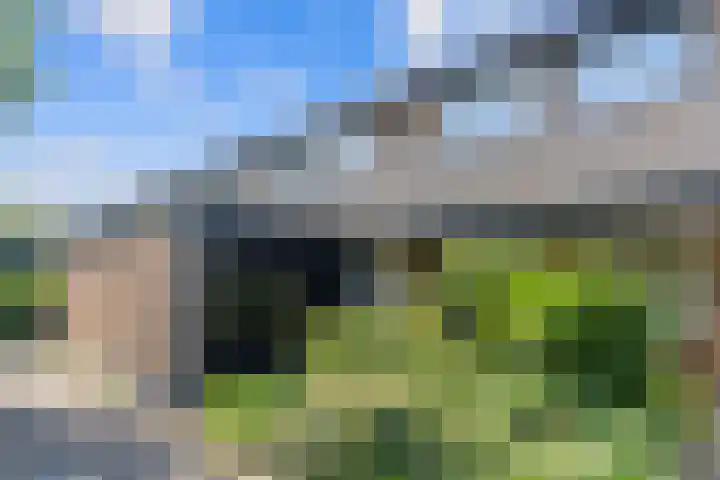 Bosplaat 65 Amsterdam thumbnail 39