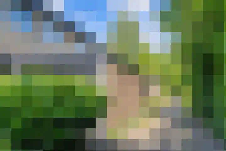 Bosplaat 65 Amsterdam thumbnail 40