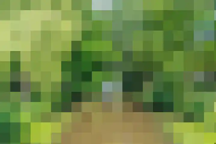 Bosplaat 65 Amsterdam thumbnail 44