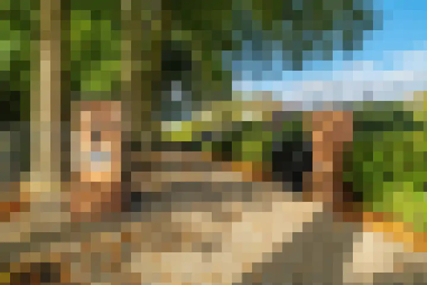 Bosplaat 65 Amsterdam thumbnail 46