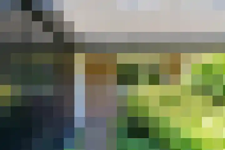 Bosplaat 65 Amsterdam thumbnail 7