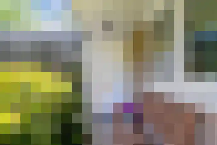 Bosplaat 65 Amsterdam thumbnail 8