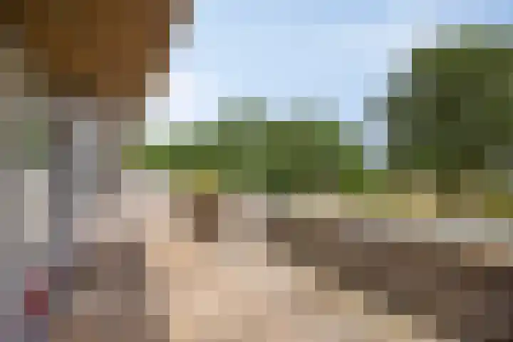 Bosplaat 96 Zwolle thumbnail 10