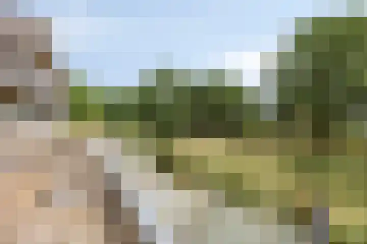 Bosplaat 96 Zwolle thumbnail 11