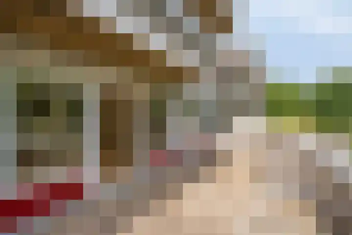 Bosplaat 96 Zwolle thumbnail 13