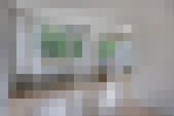 Bosplaat 96 Zwolle thumbnail 14