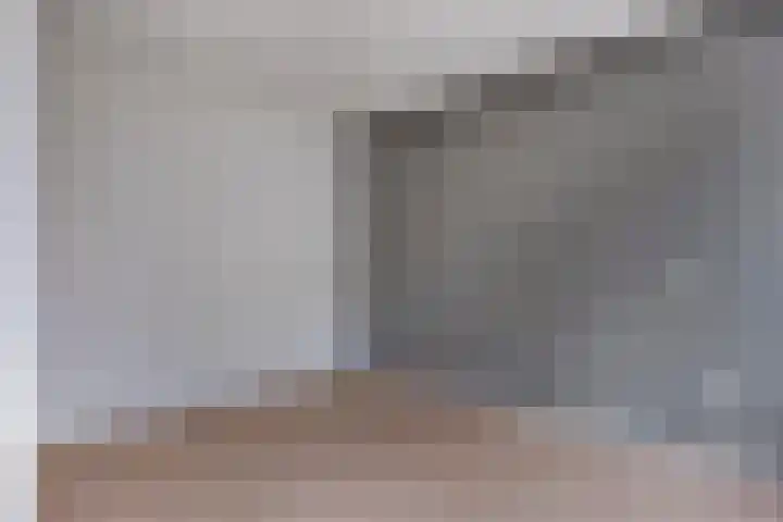 Bosplaat 96 Zwolle thumbnail 15